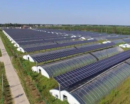 Hydroponik und Bodenlosen Anbau Mehrschicht Gewächshaus jx-SG-6 mit Wärmespeicher