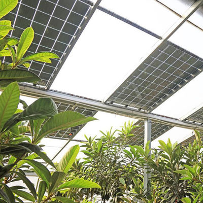 Hydroponik und Bodenlosen Anbau Mehrschicht Gewächshaus jx-SG-6 mit Wärmespeicher