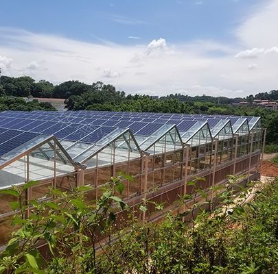 Hydroponik und Bodenlosen Anbau Mehrschicht Gewächshaus jx-SG-6 mit Wärmespeicher