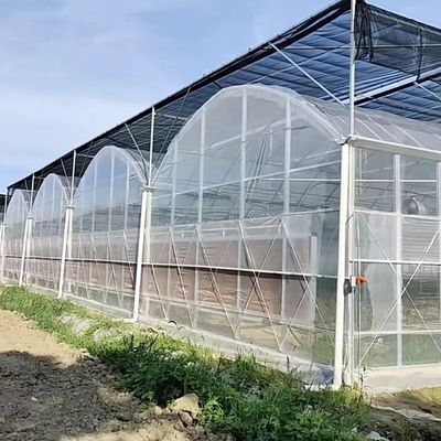 Flexibles Mehrfach-Gewächshaus für Gemüseproduktion Paket Bruttogewicht 20.000kg