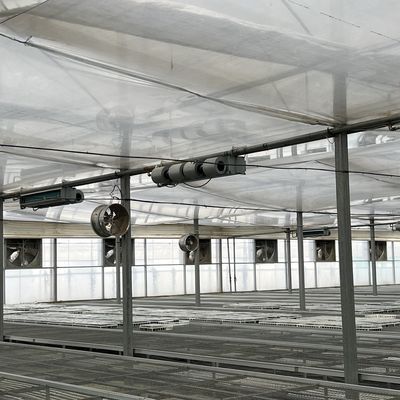 Flexibles Mehrfach-Gewächshaus für Gemüseproduktion Paket Bruttogewicht 20.000kg