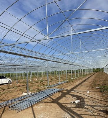Maßgeschneiderte Mehrspannen-Treibhaus-Ertragslösung für die hydroponische Gemüseproduktion