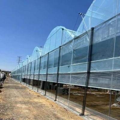 Maßgeschneiderte Mehrspannen-Treibhaus-Ertragslösung für die hydroponische Gemüseproduktion
