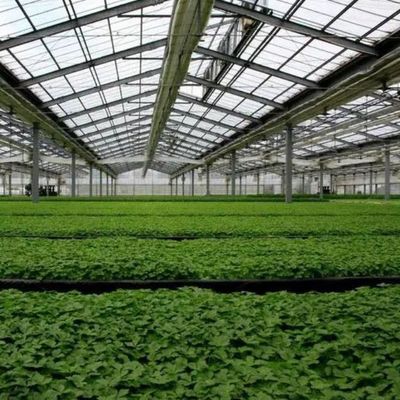 Treibhauswärmespeicherung mit großen Speicherkapazitäten und Photovoltaikkollektoren