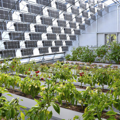 Treibhauswärmespeicherung mit großen Speicherkapazitäten und Photovoltaikkollektoren