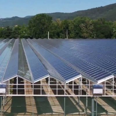 Hochfeuchtigkeits-Einbogen-Gewächshaus mit Bogen-/Venloche-Dachform und Solarkollektoren