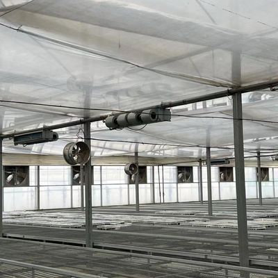 Mehrspannendes Gewächshaus für die Gemüseproduktion US 20/Quadratmeter Min. Bestellmuster