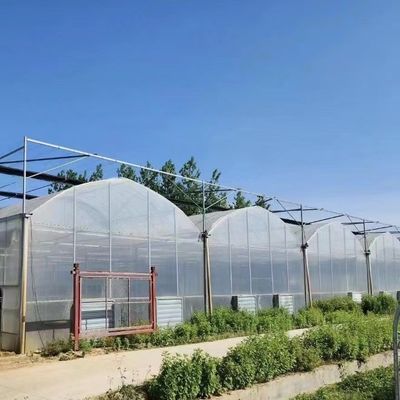 Gemüseproduktion Po Film Gewächshaus mit Schattierungssystem und 30-Tage-Rückerstattung