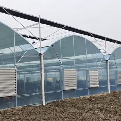 Gemüseproduktion Po Film Gewächshaus mit Schattierungssystem und 30-Tage-Rückerstattung