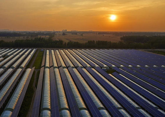 Anpassung Mehrspannbogen Typ Gurke Salat Photovoltaik Gewächshäuser jx-SG-20