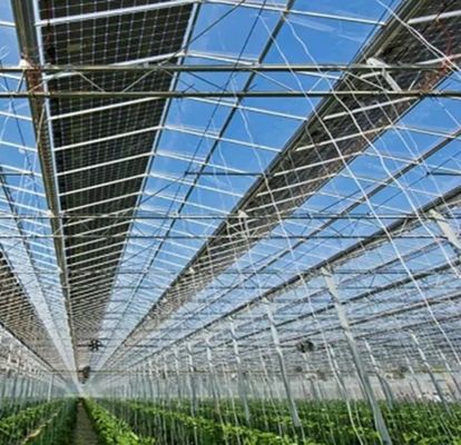 Anpassung Mehrspannbogen Typ Gurke Salat Photovoltaik Gewächshäuser jx-SG-20
