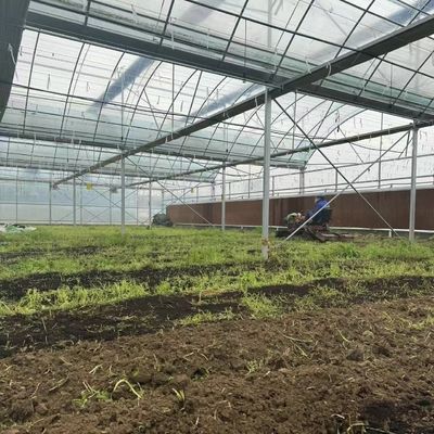 Mehrspann-Film-Gewächshaus für den Hydroponik-Anbau schützt Pflanzen vor rauen Wetterbedingungen