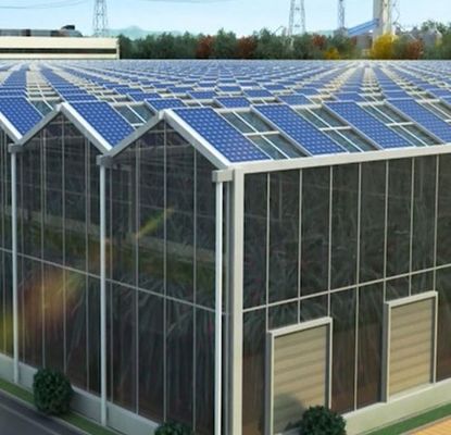 Anpassung Mehrspannbogen Typ Gurke Salat Photovoltaik Gewächshäuser jx-SG-20