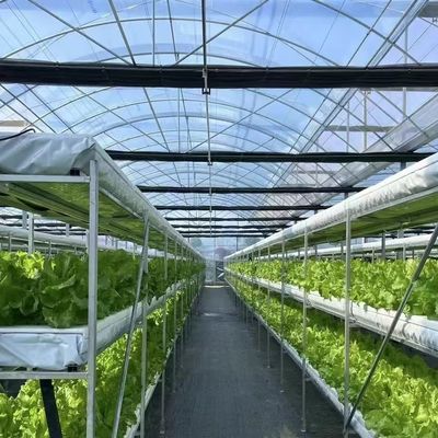 Gewächshaus mit Schattierungssystem Paket Größe 50,00cm * 60,00cm * 50,00cm Währung US