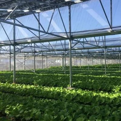 Innovative ein-/mehrspannende photovoltaische kommerzielle Gewächshäuser für nachhaltiges Wachstum