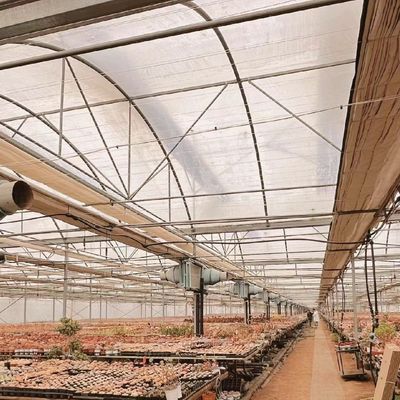 Gemüseproduktion Po Film Gewächshaus mit Wasserrohrsystem und niedrigen Versandkosten