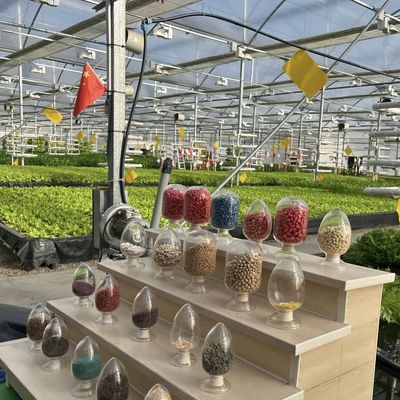 Gemüseproduktion Po Film Gewächshaus mit Wasserrohrsystem und niedrigen Versandkosten