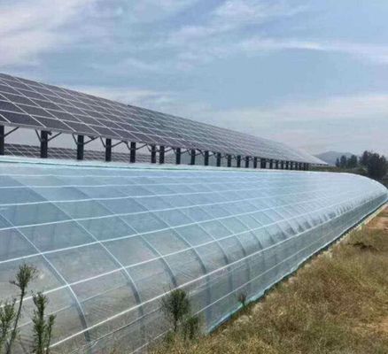 30-Tage-Rückgaberecht Mehrschicht-Solar-Gewächshauslösung mit Doppelschicht-Design