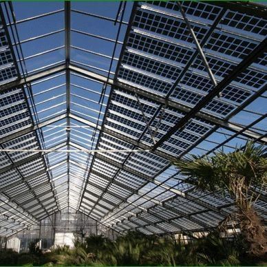 Gewerbliches Photovoltaik-Gewächshaus mit Film-Bedeckungsmaterial und unbeheizter Heizung