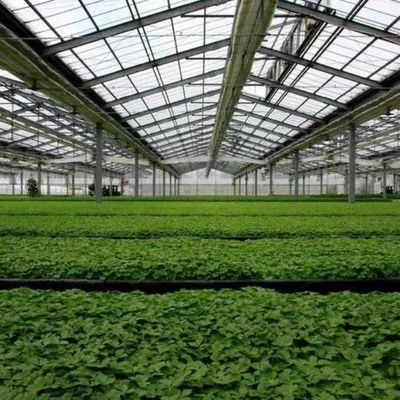 Gewerbliche Gewächshaus-Fotovoltaik-Systeme aus PE/Po-Kunststofffolie für nachhaltige Landwirtschaft