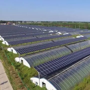 Multi-Span-Design Innovatives Solar-Gewächshaus für Erstzahlung und kommerzielle Nutzung
