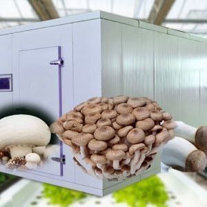 Schifffahrtscontainer Gewächshaus für Pilzanbau in Smart Design JX-CG-0001