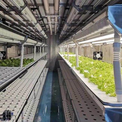 Schifffahrtscontainer Gewächshaus für Pilzanbau in Smart Design JX-CG-0001