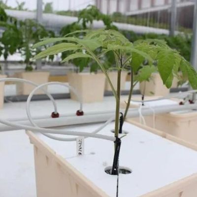 Stahlkonstruktion Vertikaler Landwirtschaftsbehälter Gewächshaus mit mehrspannendem Hydroponisches System
