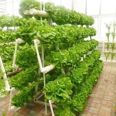 Stahlkonstruktion Vertikaler Landwirtschaftsbehälter Gewächshaus mit mehrspannendem Hydroponisches System