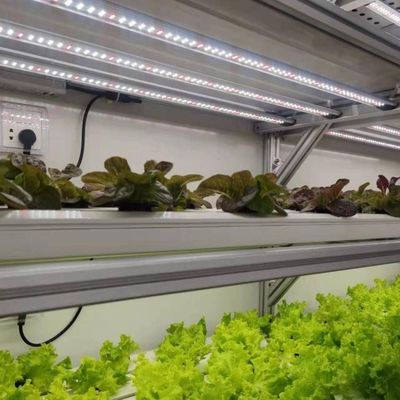Stahlkonstruktion Vertikaler Landwirtschaftsbehälter Gewächshaus mit mehrspannendem Hydroponisches System