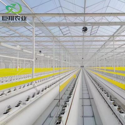 Stahlkonstruktion Vertikaler Landwirtschaftsbehälter Gewächshaus mit mehrspannendem Hydroponisches System