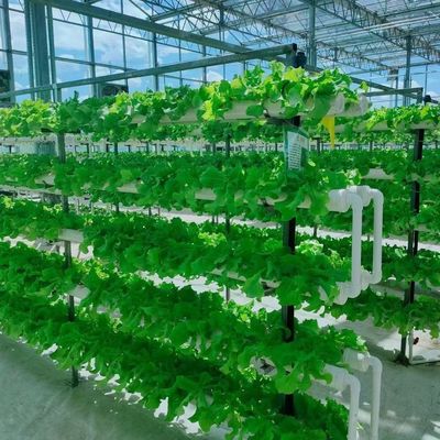 Stahlkonstruktion Vertikaler Landwirtschaftsbehälter Gewächshaus mit mehrspannendem Hydroponisches System