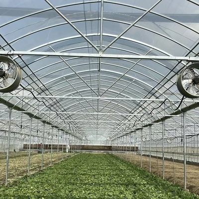 Multi-Span Gewächshaus mit fortschrittlicher Technologie 50,00cm * 60,00cm * 50,00cm