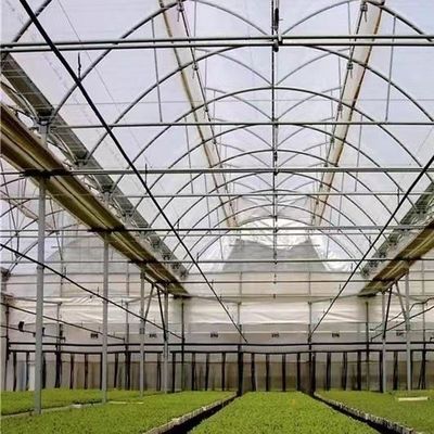 Multi-Span Gewächshaus mit fortschrittlicher Technologie 50,00cm * 60,00cm * 50,00cm