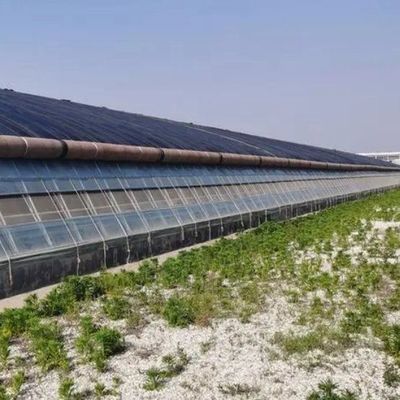 Kunststoffgewächshaus Abteilung Mehrspannung Po/PE Gewerbegewächshaus mit Hydroponik