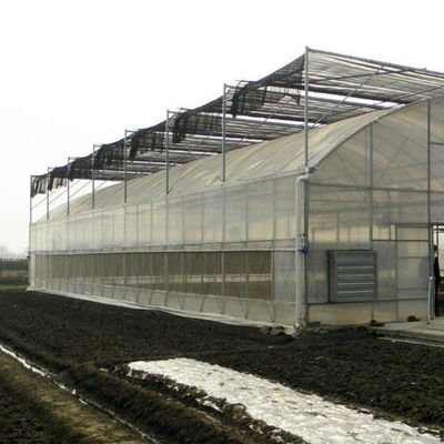 Kunststoffgewächshaus Abteilung Mehrspannung Po/PE Gewerbegewächshaus mit Hydroponik