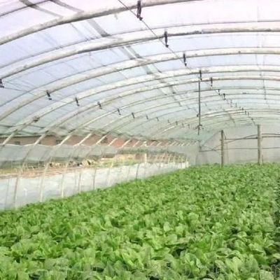 Kunststoffgewächshaus Abteilung Mehrspannung Po/PE Gewerbegewächshaus mit Hydroponik