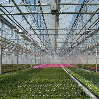 Hydroponisches Gewächshaus mit temporärer Heizung mit Feuchtigkeitsregelungssystem JX-FG-212