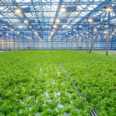 Hydroponisches Gewächshaus mit temporärer Heizung mit Feuchtigkeitsregelungssystem JX-FG-212
