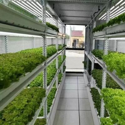 Speichern Sie Platz mit unserem Gewächshaus Fischbehälter fortschrittliche vertikale Hydroponik System