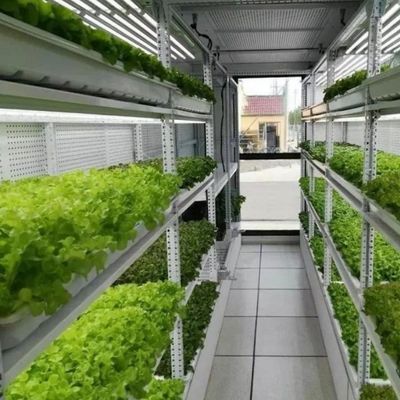 Vollsystem 40 Fuß Landwirtschaftscontainer für Hydroponic Futter durch in Sea Shipping Container