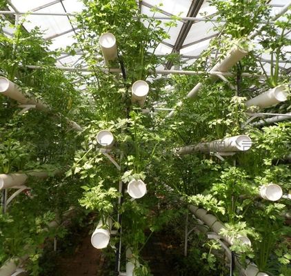 Wirtschaftliche Abteilung Kunststoffgewächshaus mit Hydroponik und temporärer Heizung