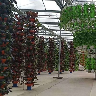 Wirtschaftliche Abteilung Kunststoffgewächshaus mit Hydroponik und temporärer Heizung