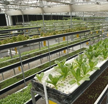 Mehrspannendes Gewächshaus für die temperaturgesteuerte Hydroponik