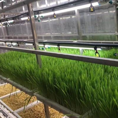 Hydroponisches Futter und Gemüse Obst und Blumen Lösung für Gewächshäuser in JX Behälter