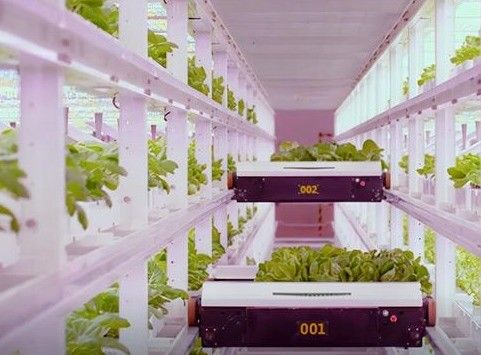 Intelligente Temperaturregelung Stahlstruktur Tragbares Gewächshaus für Blattgemüse