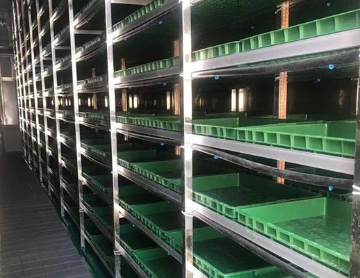 Gewächshaus mit mehreren Spannweiten und einer geformten Dachform