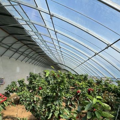 100.000kg Anpassung Blütenpflanzung Tropfbewässerung Gemüse Sonnenlicht Gewächshaus