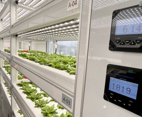Hydroponik Anbaumethode 40hq Reefer Behälter für Blattgemüse Gewächshaus