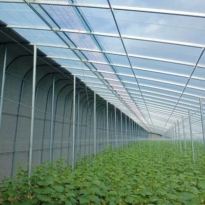 Optimierung des Wachstums durch Sonnenlicht und Sprühen Bewässerung Blumenpflanzung Gewächshaus